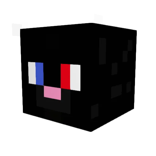Frozen7Flames Minecraft avatar head, 3D render