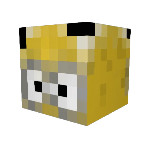 FrozenBongwater Minecraft avatar head, 3D render