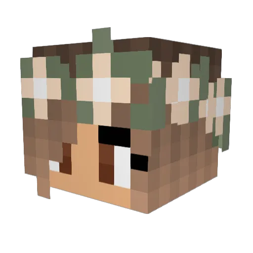FrozenButterfly Minecraft avatar head, 3D render