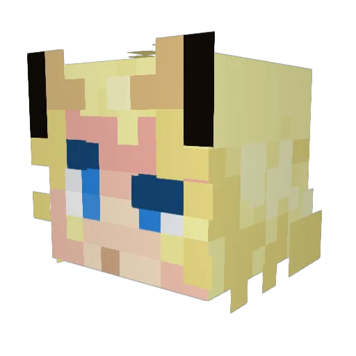 FrozenFetus Minecraft avatar head, 3D render
