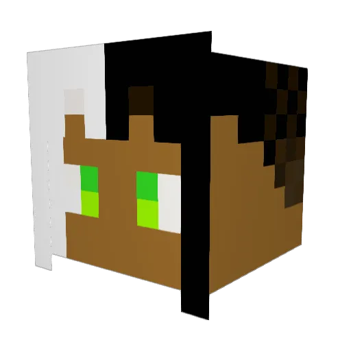 FrozenFrosty1 Minecraft avatar head, 3D render