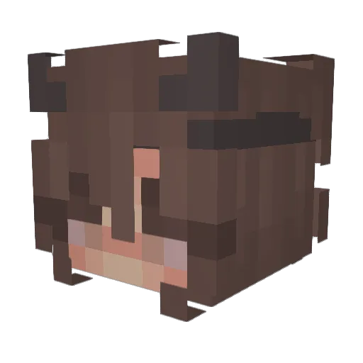 FrozenGelato Minecraft avatar head, 3D render