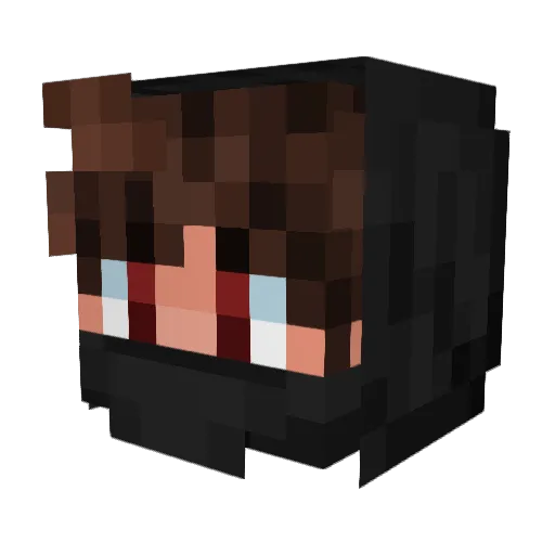 FrozenIce9 Minecraft avatar head, 3D render