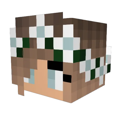 FrozenInTime73 Minecraft avatar head, 3D render