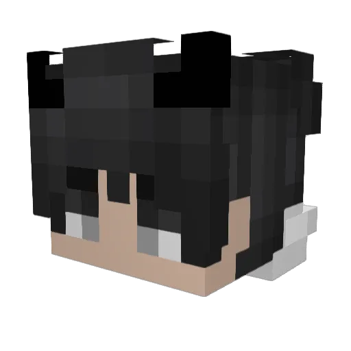FrozenKarmaYT Minecraft avatar head, 3D render