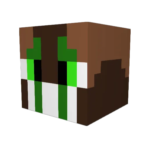 FrozenNineTales Minecraft avatar head, 3D render