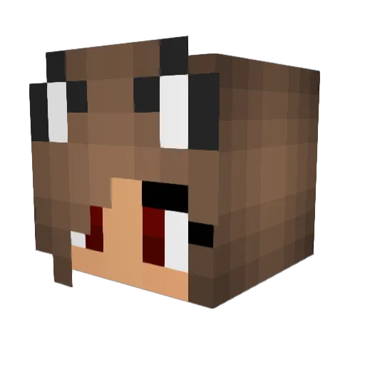 FrozenNugget Minecraft avatar head, 3D render