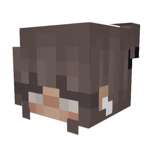 FrozenPhilly Minecraft avatar head, 3D render