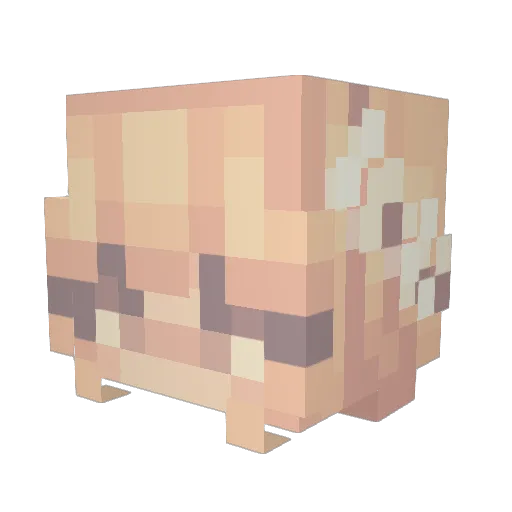 FrozenRose80 Minecraft avatar head, 3D render