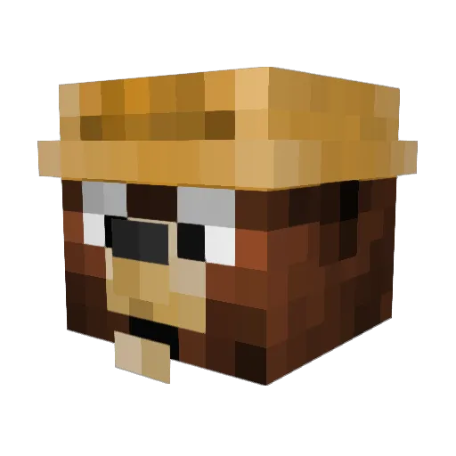 FrozenTitan91 Minecraft avatar head, 3D render