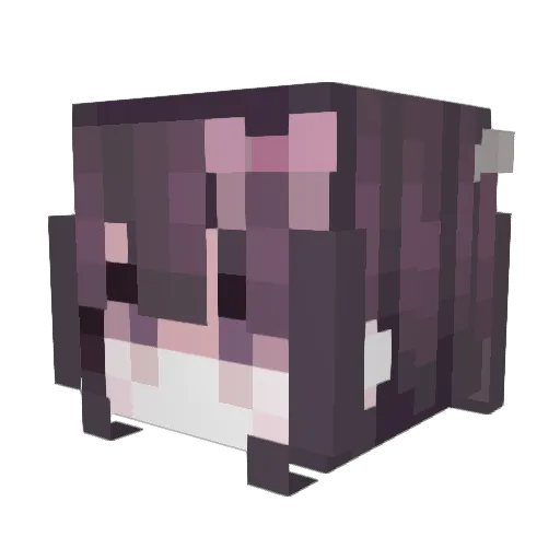 FrozenTukemen Minecraft avatar head, 3D render