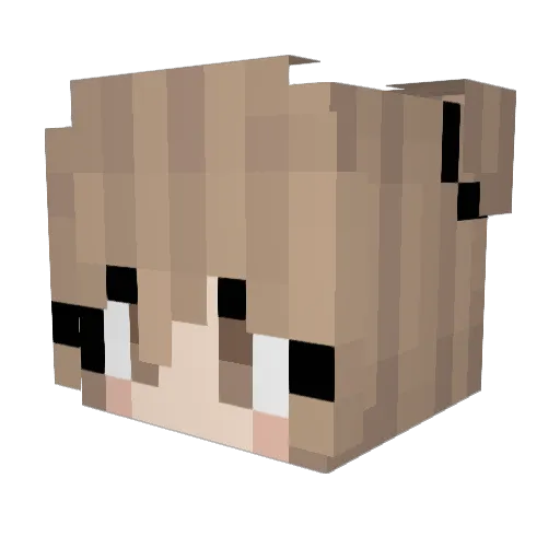 FrozenWarrior11 Minecraft avatar head, 3D render
