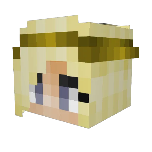 Frozen_Liquids Minecraft avatar head, 3D render