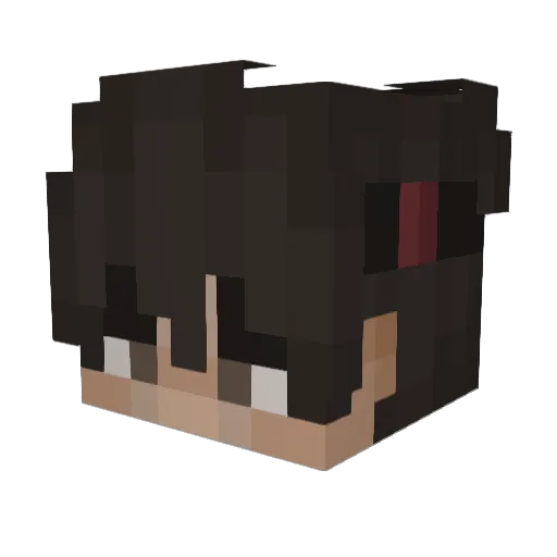 Frozen_Nello Minecraft avatar head, 3D render