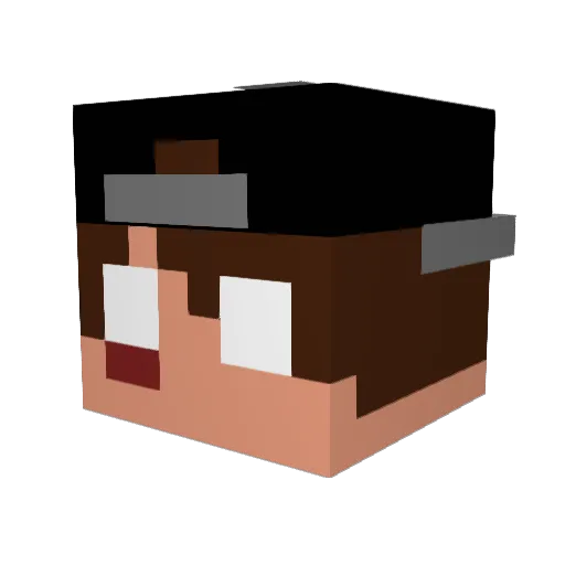 Frozen_Plunger Minecraft avatar head, 3D render