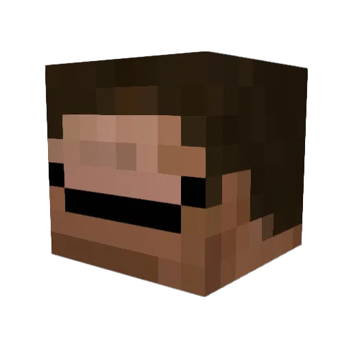Frozenburritos Minecraft avatar head, 3D render