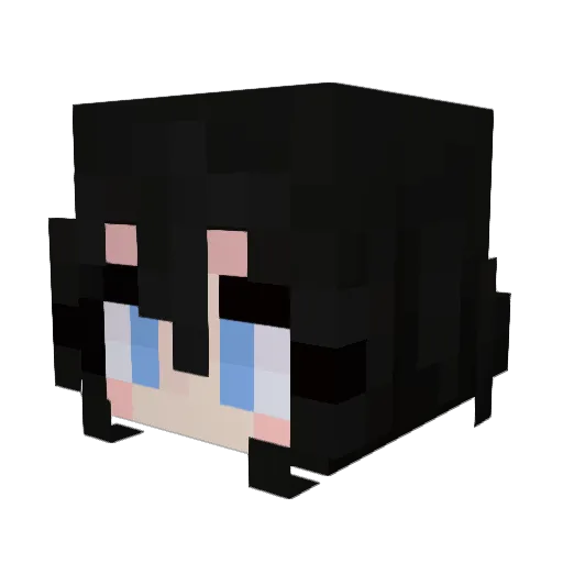 Frozenraven2 Minecraft avatar head, 3D render