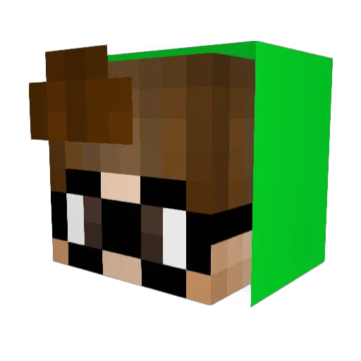 Frqgged Minecraft avatar head, 3D render