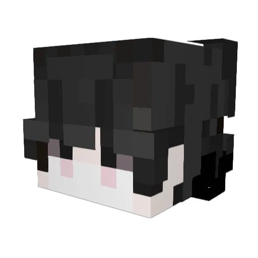 Frranciiss Minecraft avatar head, 3D render