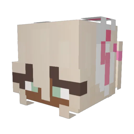 Fru1ty4ngel Minecraft avatar head, 3D render