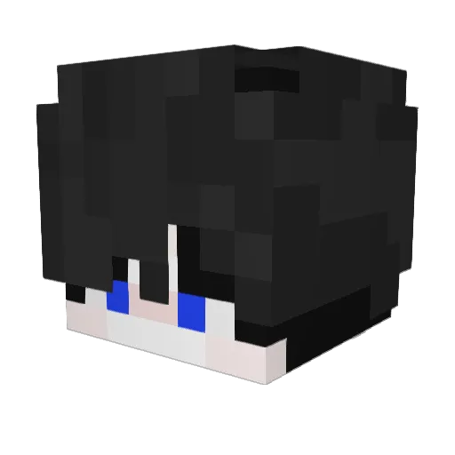 Fru1tyA Minecraft avatar head, 3D render