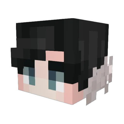 Frubyy Minecraft avatar head, 3D render