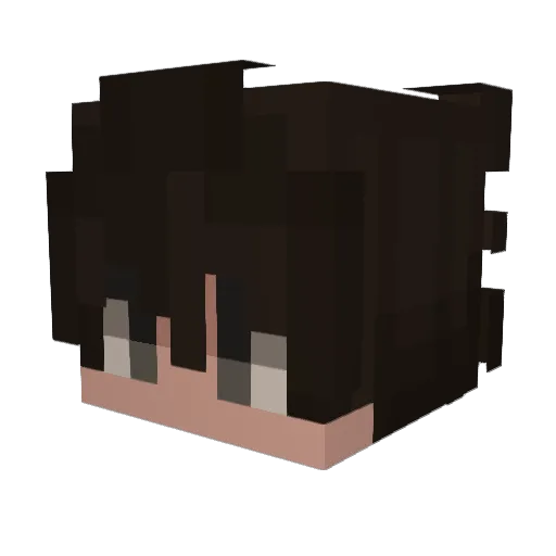 Frugiyt Minecraft avatar head, 3D render