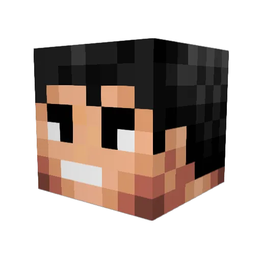 FruitInvasion Minecraft avatar head, 3D render