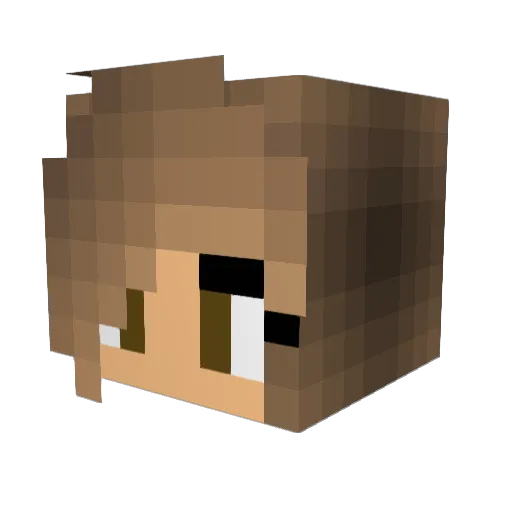FruitSnak Minecraft avatar head, 3D render