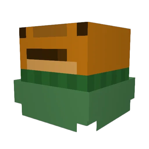 FruitcakeBaby Minecraft avatar head, 3D render