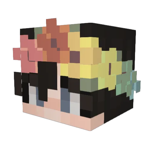 FruiteTwinke Minecraft avatar head, 3D render