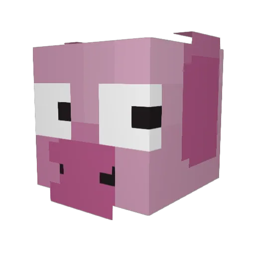 FruitlessRacer Minecraft avatar head, 3D render