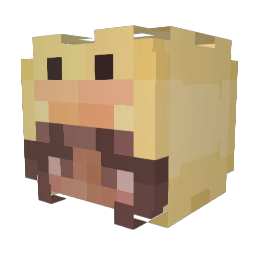 Fruitloop2939 Minecraft avatar head, 3D render