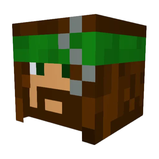 FruitloopDigus Minecraft avatar head, 3D render