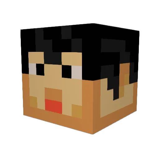 FruitsChump Minecraft avatar head, 3D render