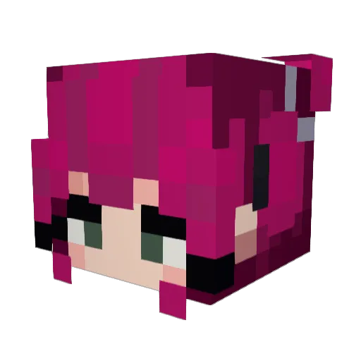 Fruitsaladee Minecraft avatar head, 3D render