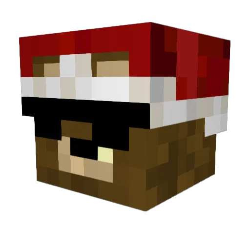 Fruitsnacks__ Minecraft avatar head, 3D render