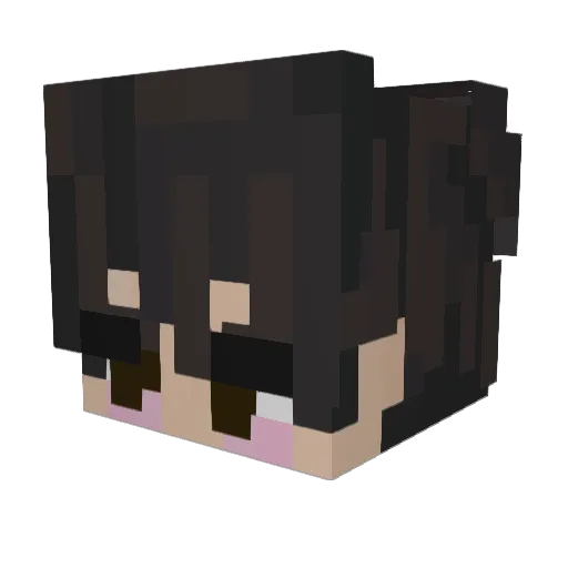 Fruity002 Minecraft avatar head, 3D render