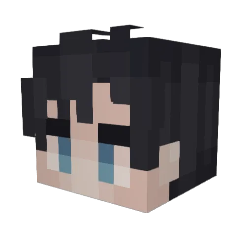 Fruity9997 Minecraft avatar head, 3D render