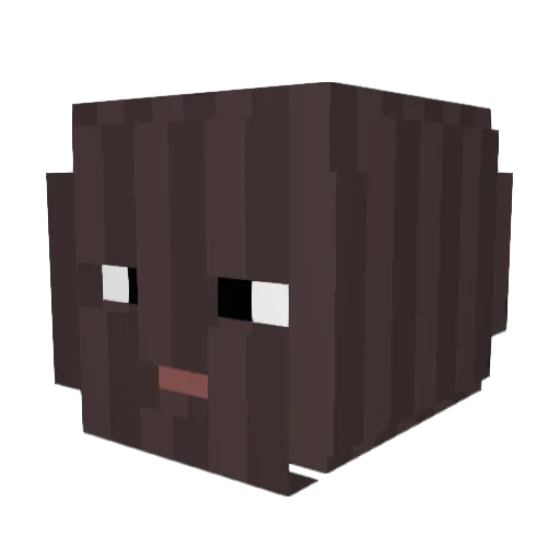 FruityGay12 Minecraft avatar head, 3D render