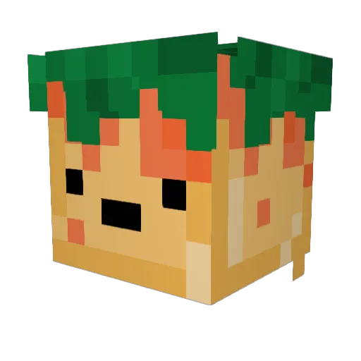 FruityRecruity Minecraft avatar head, 3D render