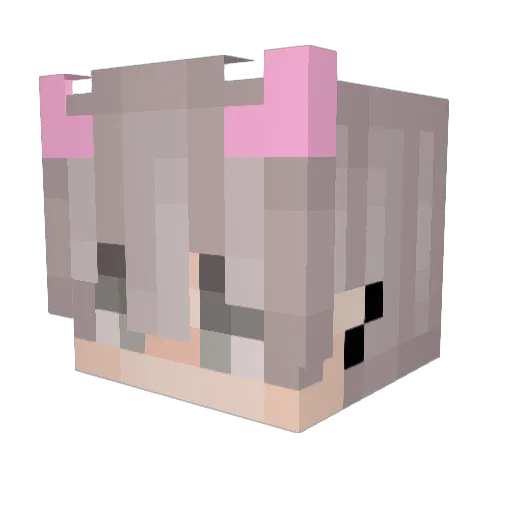 Fruity_Crispy Minecraft avatar head, 3D render