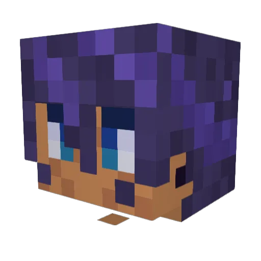 Fruity_Lupi Minecraft avatar head, 3D render