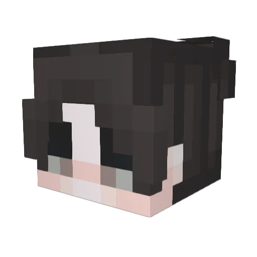 Fruity_Tea Minecraft avatar head, 3D render
