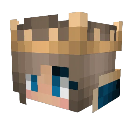 Fruityfoody Minecraft avatar head, 3D render