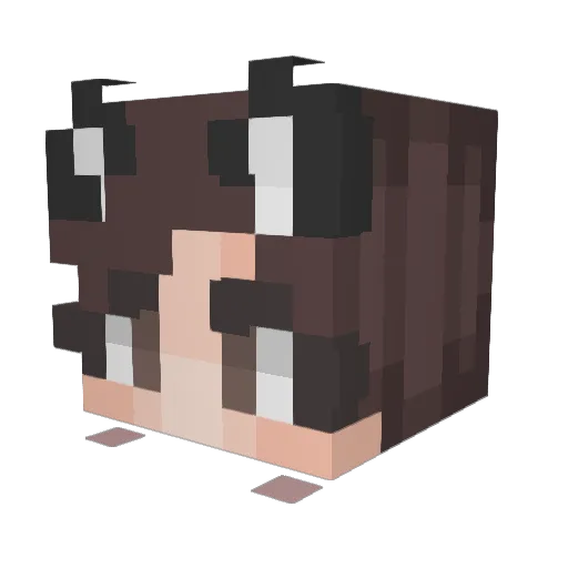 FrumpyMelon223 Minecraft avatar head, 3D render