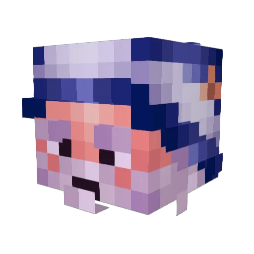 Frundok Minecraft avatar head, 3D render