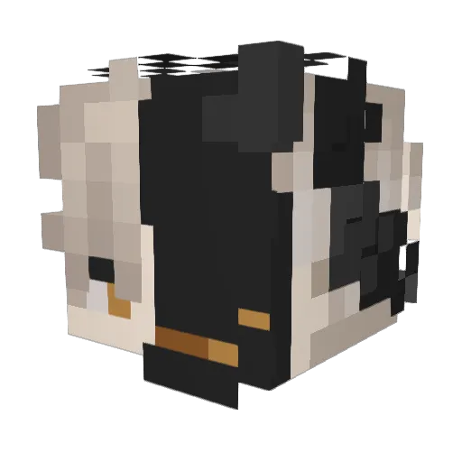 Frunt1x Minecraft avatar head, 3D render