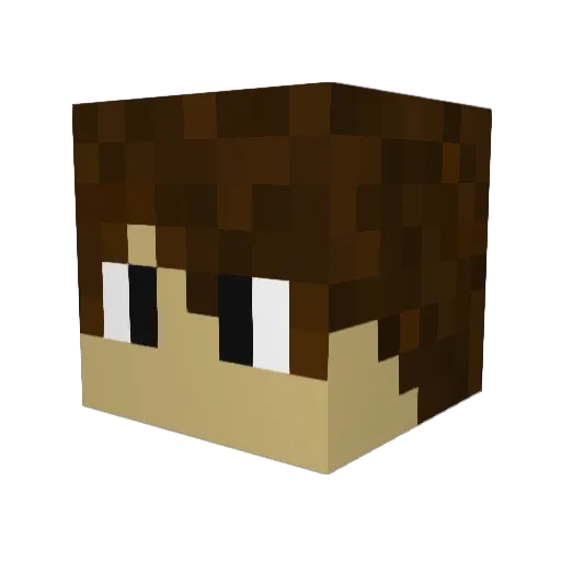 Frusti7 Minecraft avatar head, 3D render