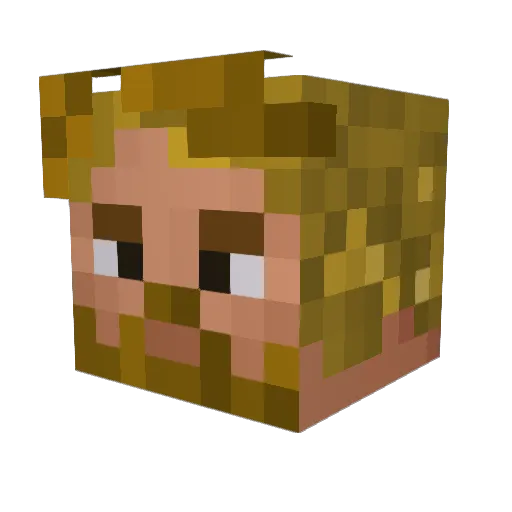 Frustrated_Gamer Minecraft avatar head, 3D render